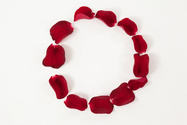 玫瑰花瓣照片素材ID：133549732