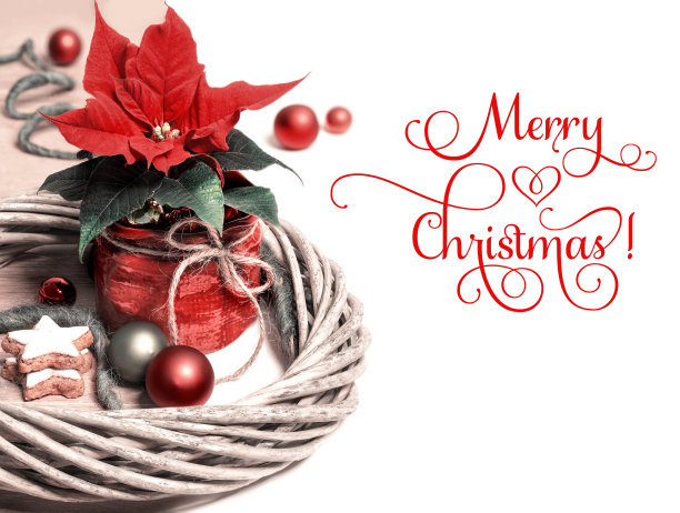 圣诞装饰边框与一品红木，文字空间图片下载