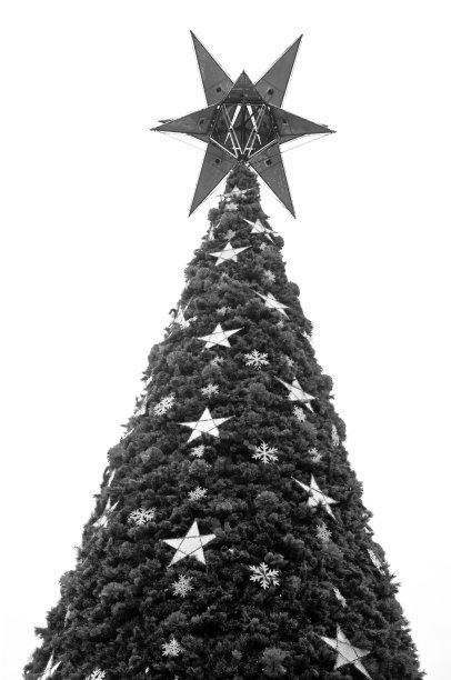 圣诞树黑白相间图片下载