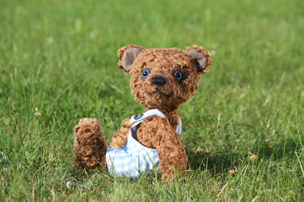 穿着蓝色短裤微笑的棕色泰迪熊图片下载