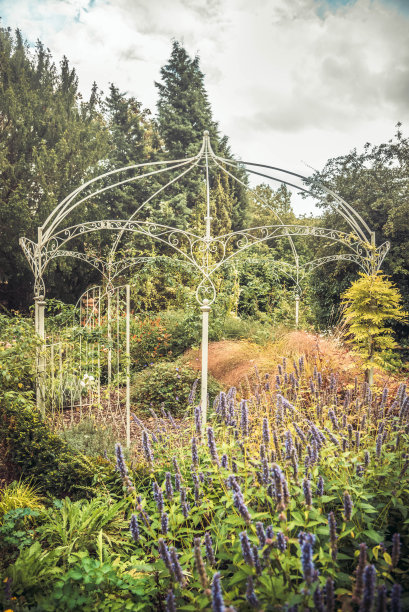 浪漫散步的花园图片下载