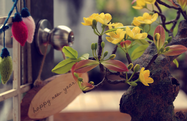 泥杏花家居装饰图片下载