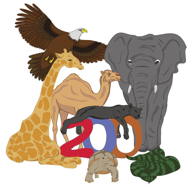 动物园图片下载