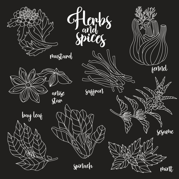 香料和香草向量集。轮廓在黑暗的图片下载