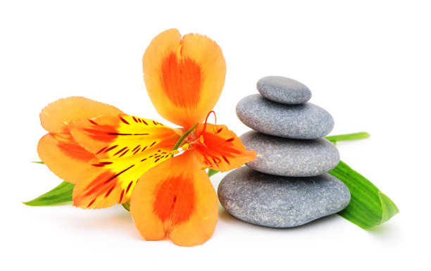 百合花和卵石。图片下载