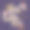 一月排版设计模板图片下载