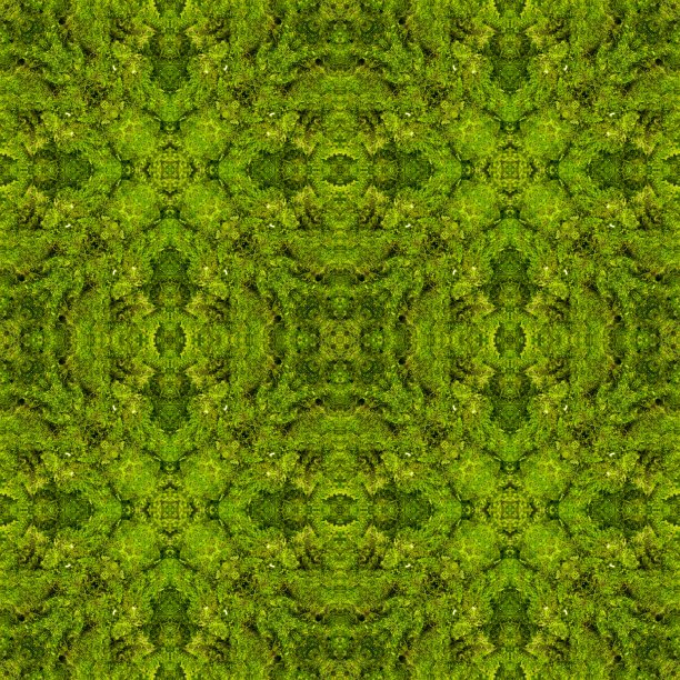 摘要装饰青苔背景。无缝模式。图片下载