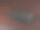 试管数组图片下载