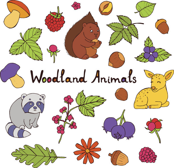 可爱的动物，松鼠，浣熊和鹿。图片下载