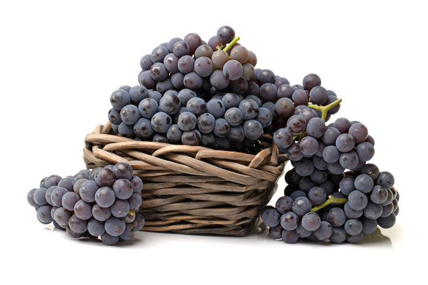 成熟的黑葡萄图片下载