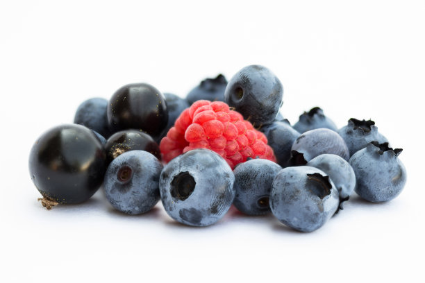 蓝莓,黑醋栗,覆盆子图片下载