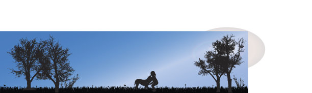 矢量剪影的孩子。图片下载