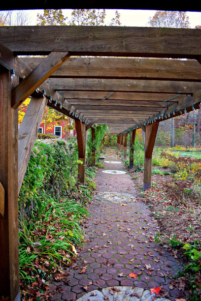 人行道图片下载