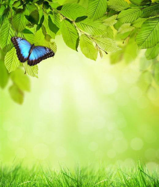 自然背景图片下载