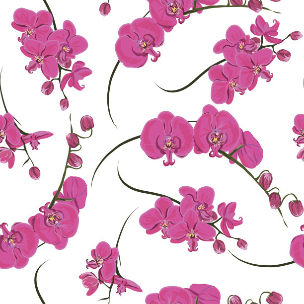 粉色兰花无缝矢量图案图片下载