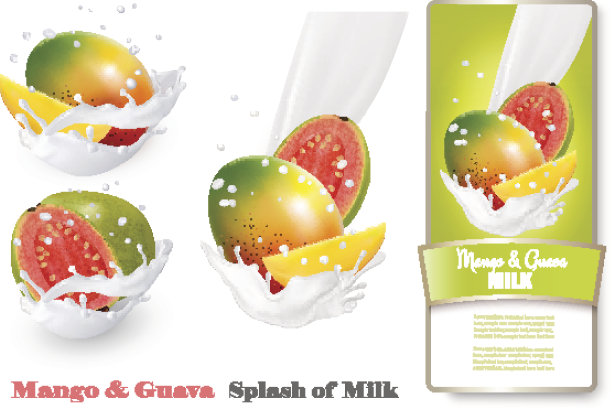牛奶里的芒果和番石榴。向量。图片下载