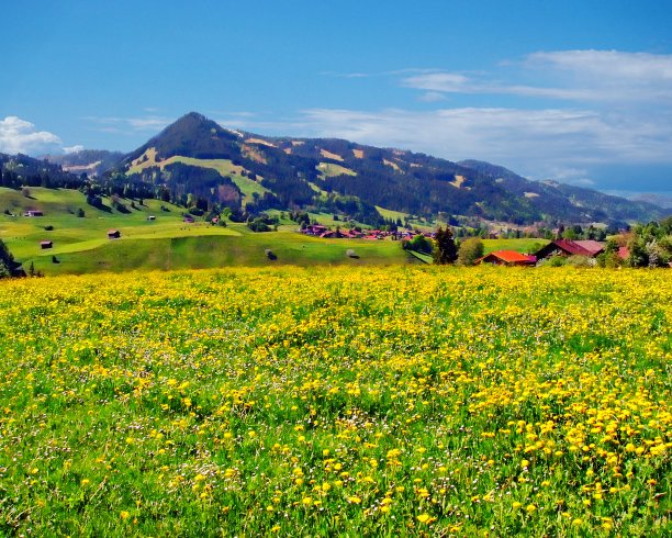 Allgau地区图片下载