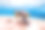 美丽的夏威夷绿海龟图片下载