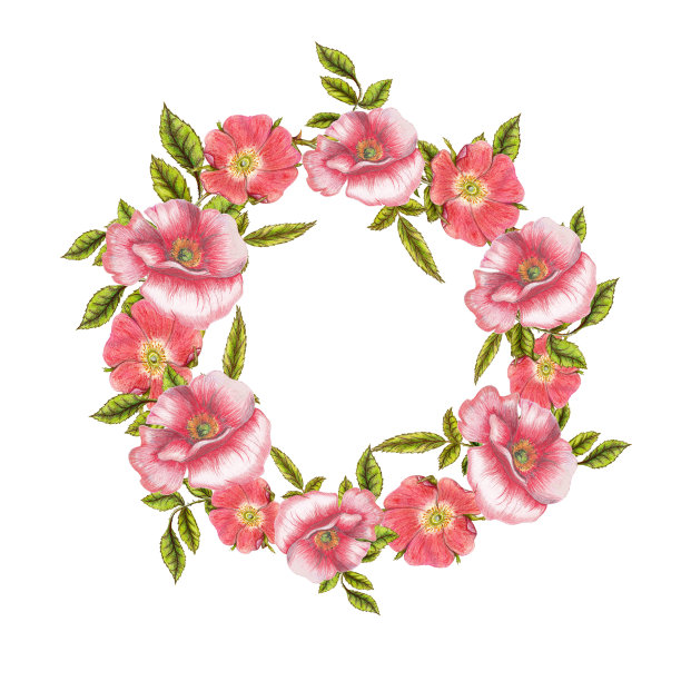 手绘圆形框架与花图片下载