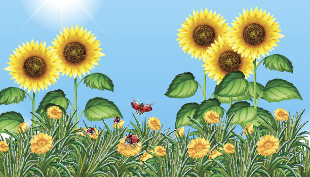 向日葵地里有瓢虫飞舞图片下载