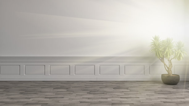 室内植物。三维演示图片下载