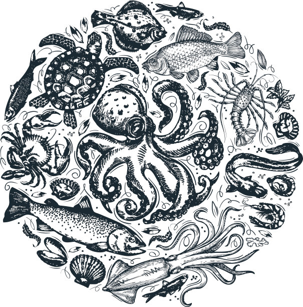海洋动物海鲜手绘草图矢量插画图片下载