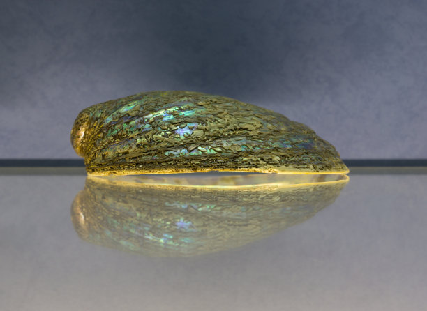 壳牌在玻璃图片下载