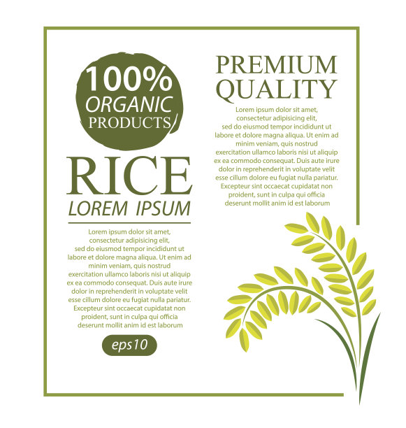 大米。矢量插图。图片下载