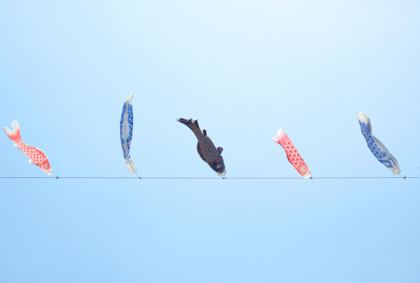 日本的Koinobori，日本男孩的幸福图片下载