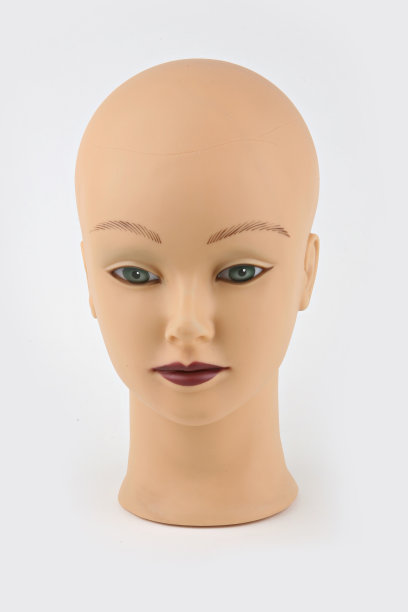 女性人体模型的头图片下载