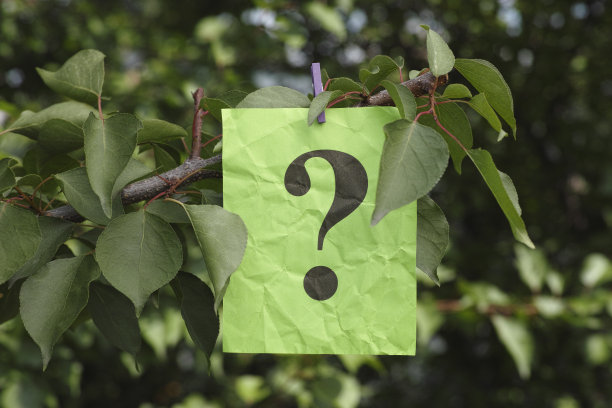 一个问号挂在树上图片下载