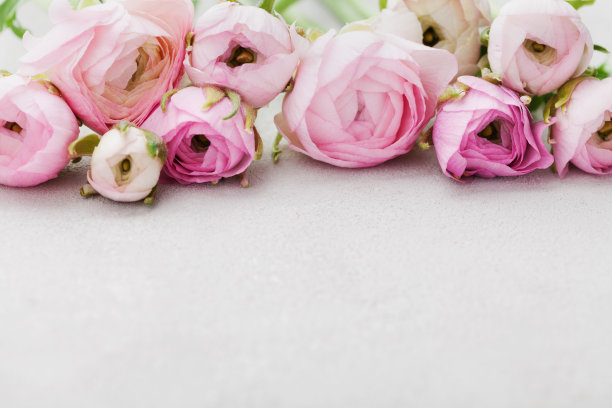 花花的边界。情人节或妇女节的贺卡。素材图片