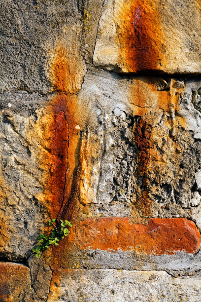 带植物的石墙图片下载
