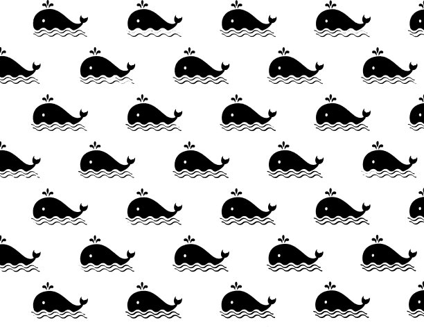 黑鲸墙纸图片下载