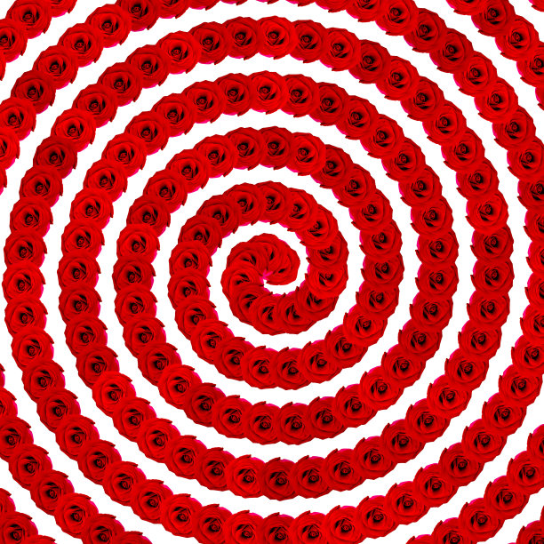 玫瑰背景:红色天然玫瑰无缝螺旋背景。图片下载