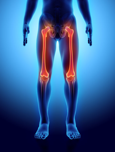 膝盖图片素材ID：133751464