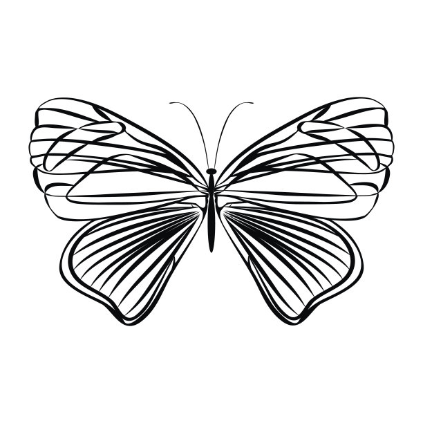 矢量画蝴蝶图片下载