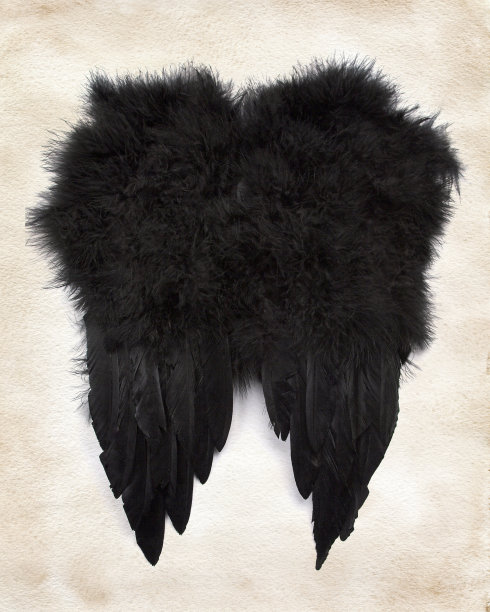 纸上的黑色翅膀图片下载