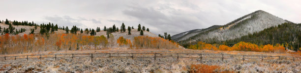 蒙大拿的晚秋降雪图片下载