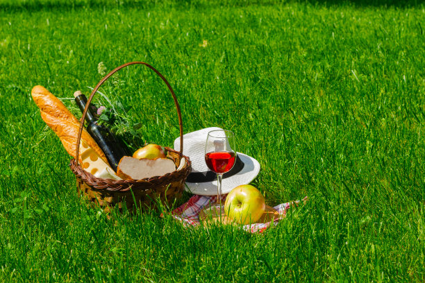 在公园野餐图片下载