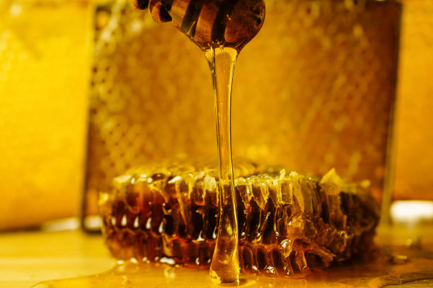 桌上香槟长笛特写镜头图片下载