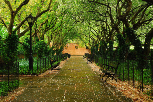 中央公园Converancy花园素材图片