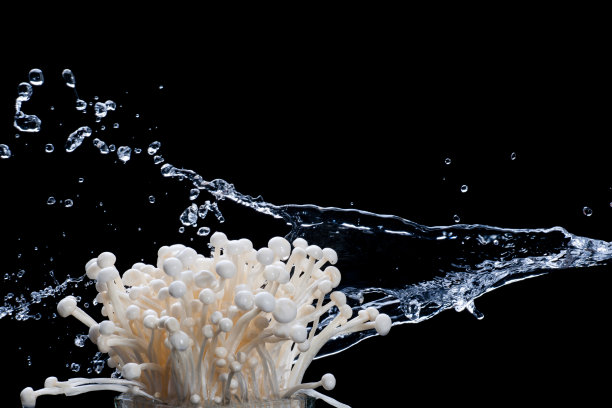 朴蘑蘑菇图片下载