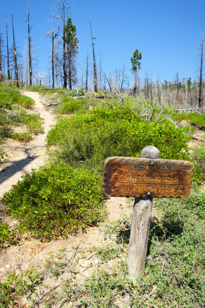 怀特曼长凳连接小径标志图片下载