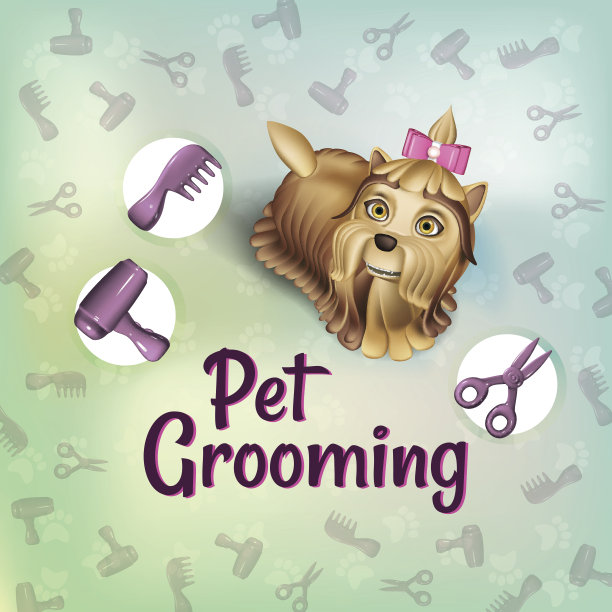 带有梳洗工具的约克郡犬。宠物美发沙龙，为狗狗梳理毛发图片下载