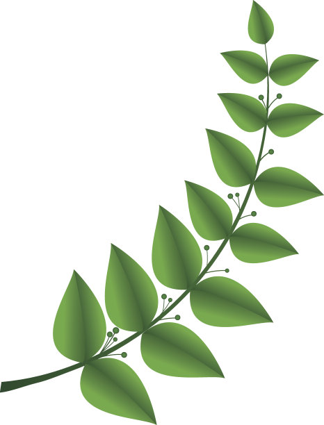 月桂枝，胜利的象征图片下载