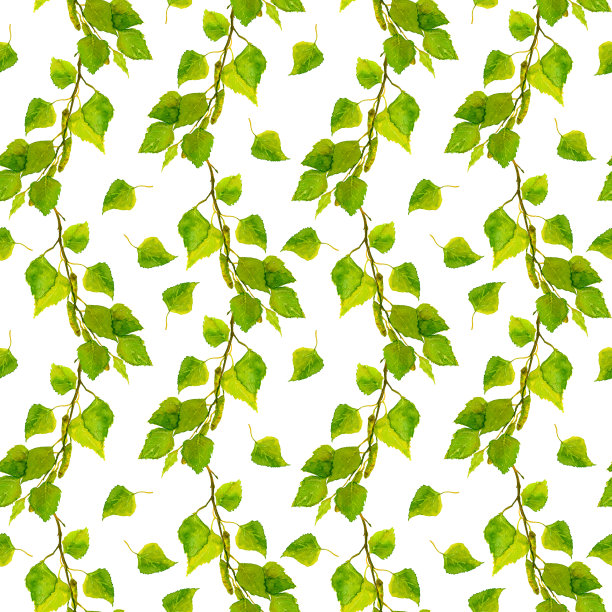 手绘水彩无缝墙纸与绿色桦树叶图片下载