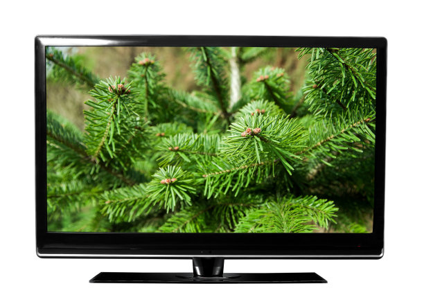 电视屏幕上有松树的画面图片下载