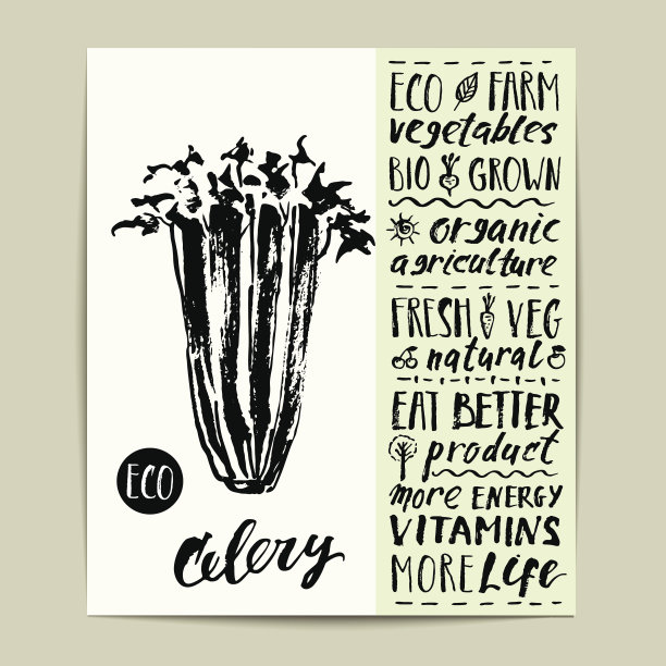 手绘墨水芹菜和有机农产品的字母。图片下载
