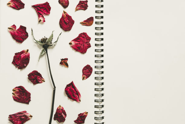 按干玫瑰花瓣，复古色调图片下载